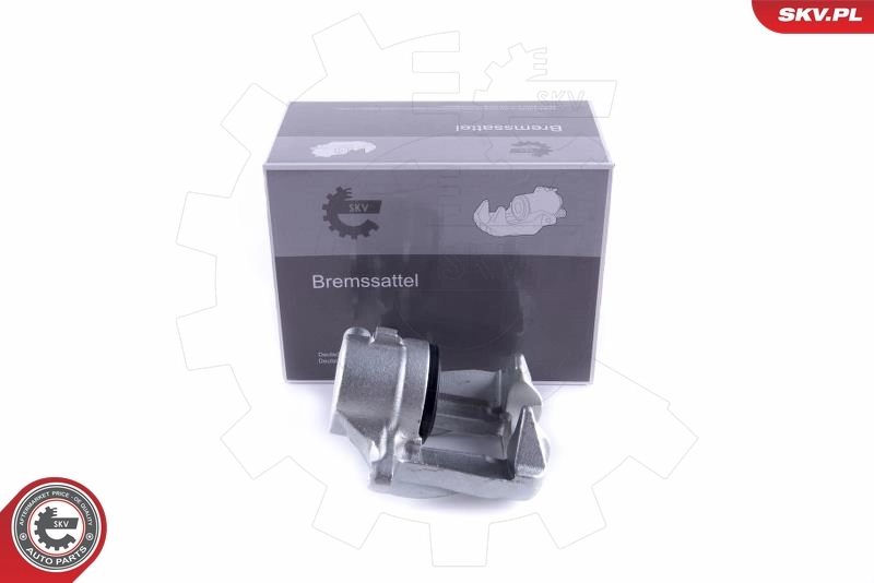 Brake Caliper